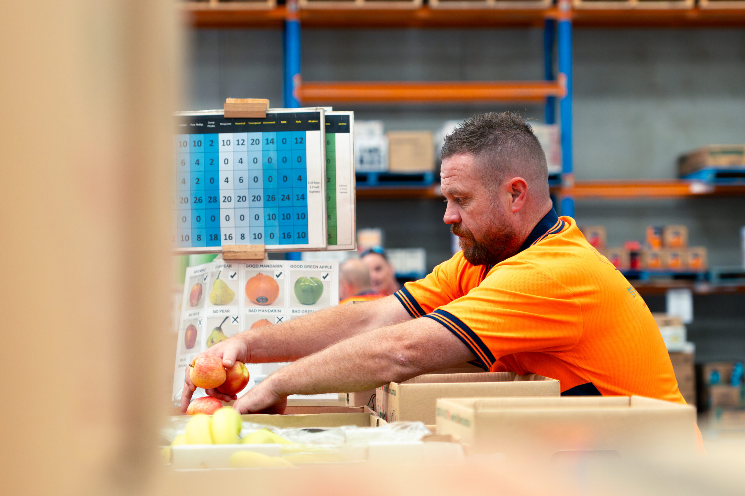 Fruit2Work as a social enterprise